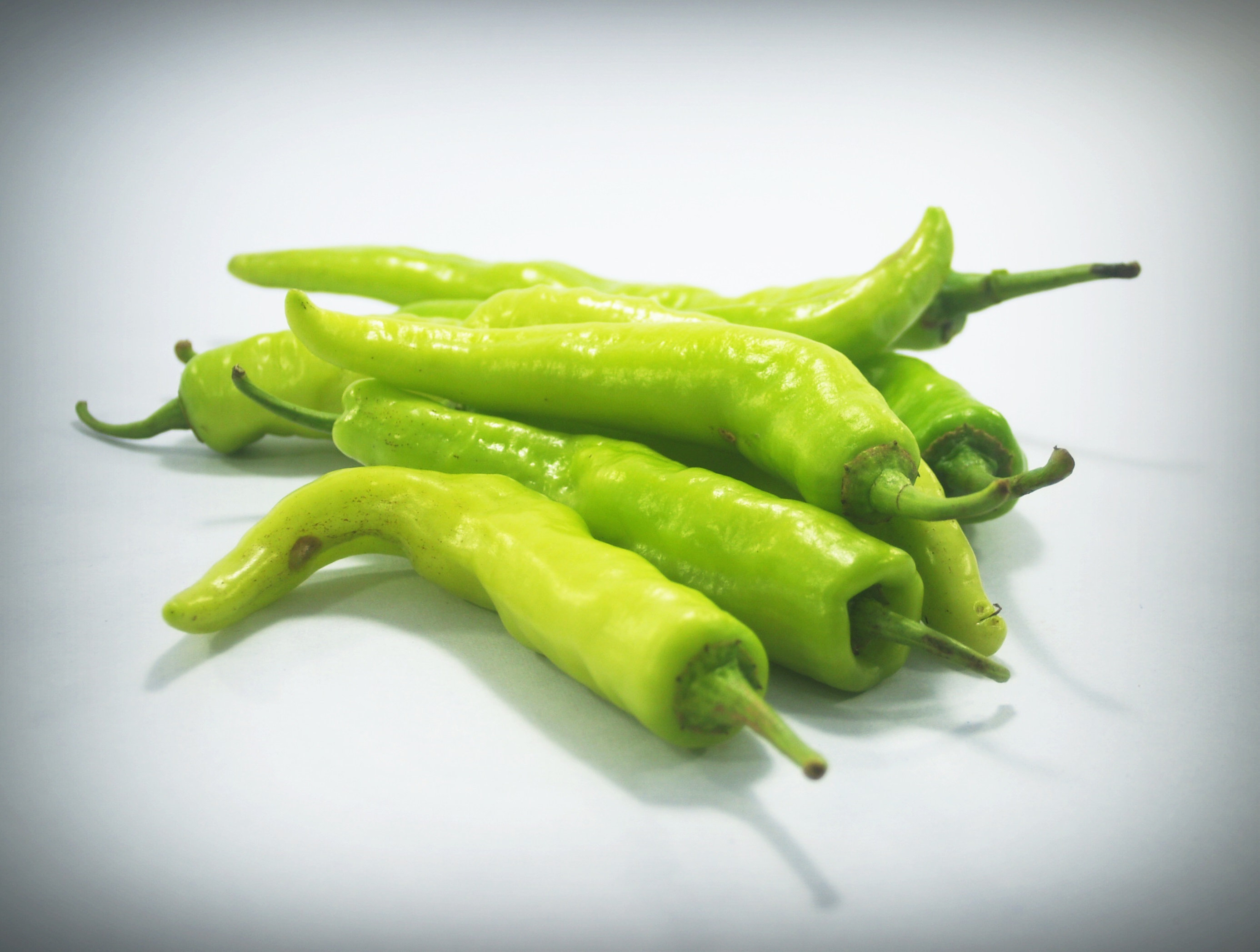 chilli-1549395 chilli-1549395